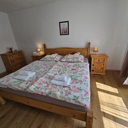 Apartman U Labe Decin Exterior foto